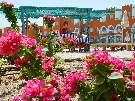 Egypt  Hurghada Sunrise Garden Beach Resort *****