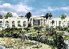 Egypt  Sharm El Sheikh Tropicana Sea Beach ****